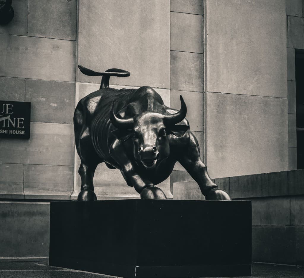 Bull Runs & Blind Spots: Decoding Investment Outcomes